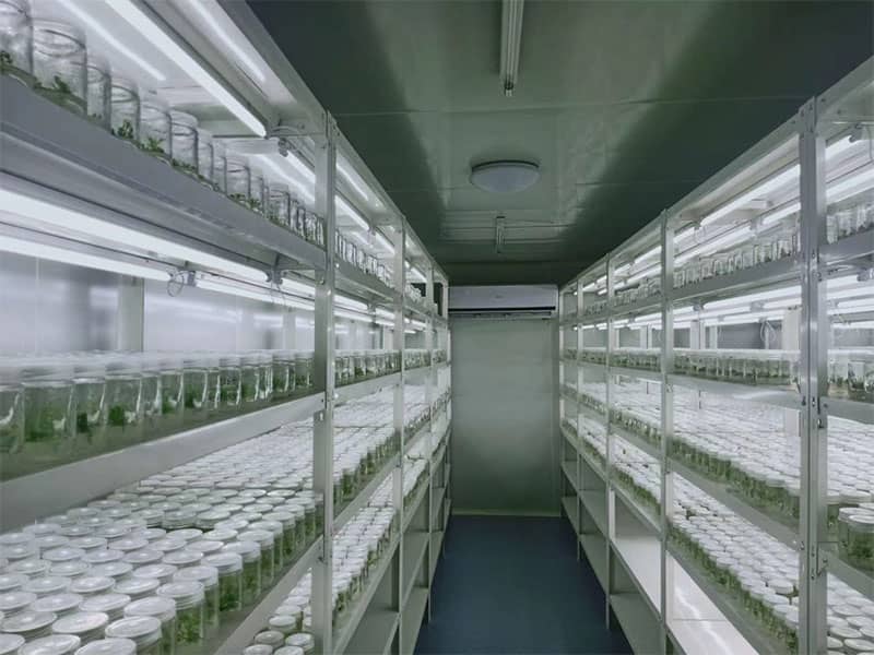 組培設備廠家騰昊講解植物組培知識